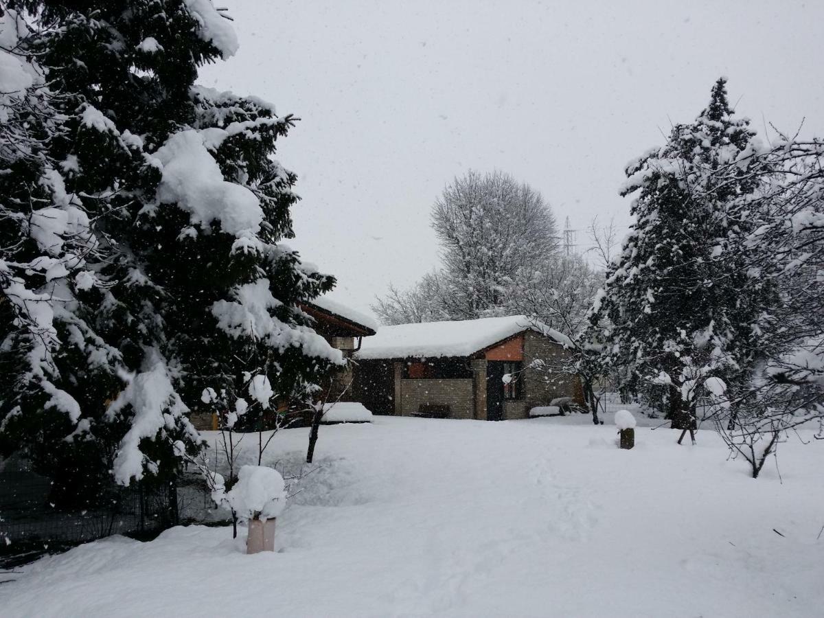 R&B Albero Cavo Parma Bed and Breakfast Εξωτερικό φωτογραφία