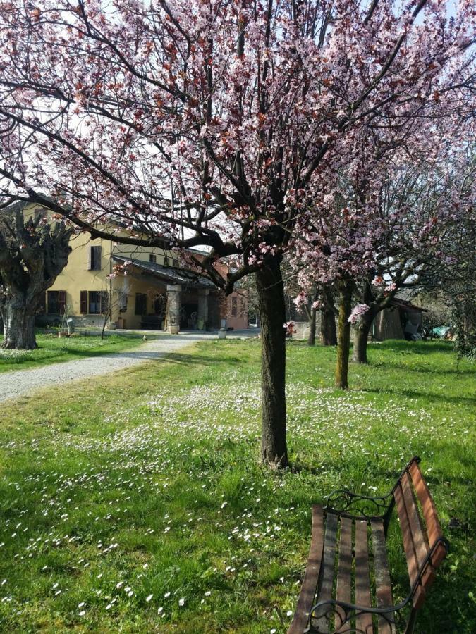 R&B Albero Cavo Parma Bed and Breakfast Εξωτερικό φωτογραφία