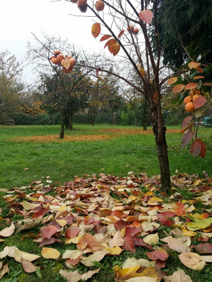 R&B Albero Cavo Parma Bed and Breakfast Εξωτερικό φωτογραφία