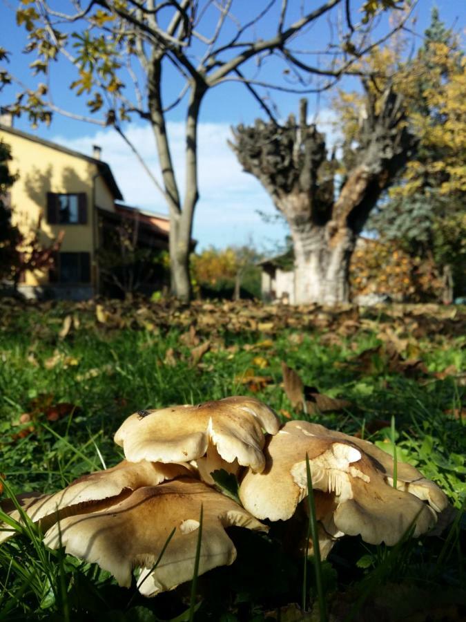 R&B Albero Cavo Parma Bed and Breakfast Εξωτερικό φωτογραφία
