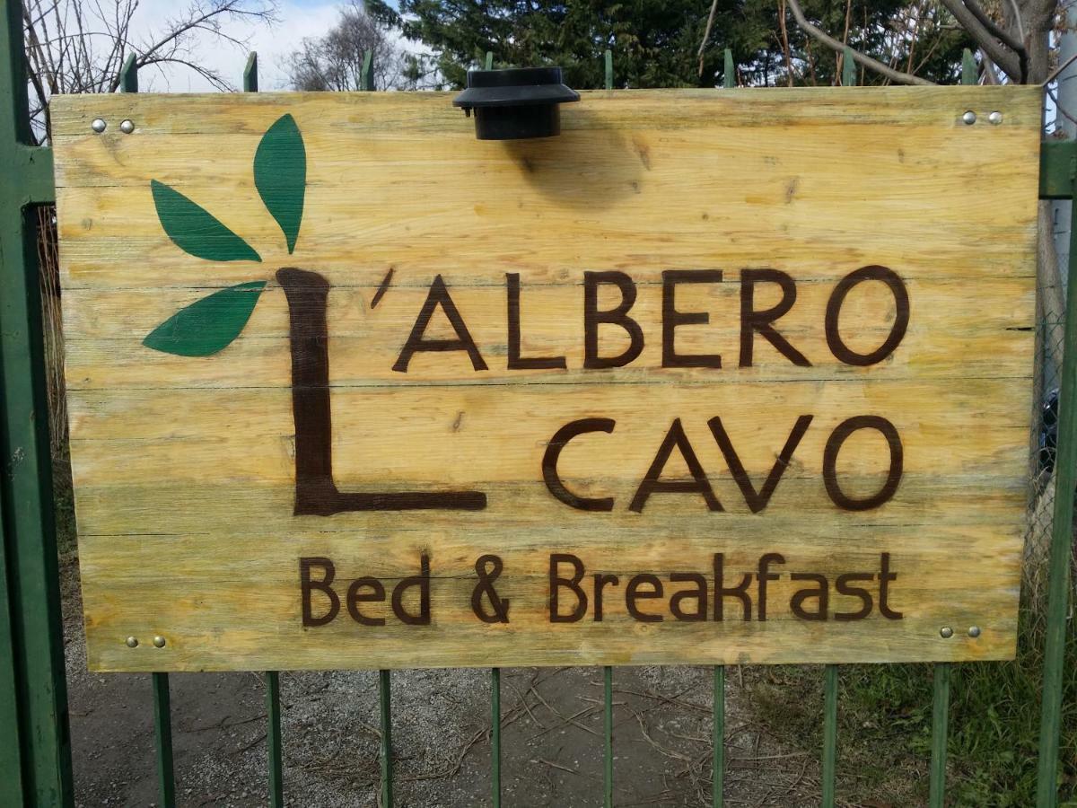R&B Albero Cavo Parma Bed and Breakfast Εξωτερικό φωτογραφία