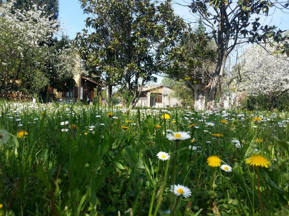 R&B Albero Cavo Parma Bed and Breakfast Εξωτερικό φωτογραφία