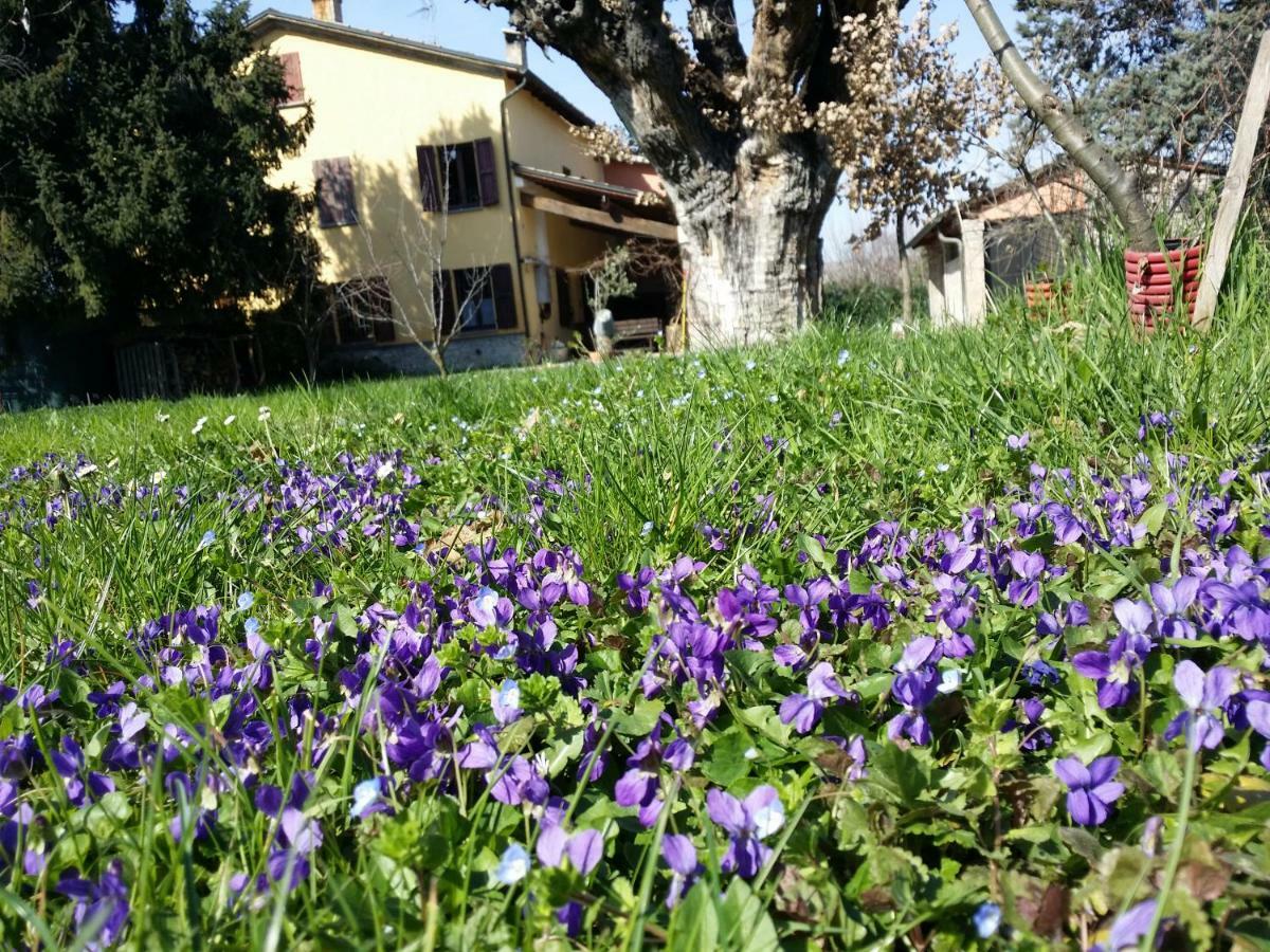 R&B Albero Cavo Parma Bed and Breakfast Εξωτερικό φωτογραφία